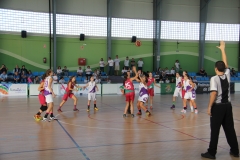 JAEN Y SEVILLA EN LA HERRADURA 16