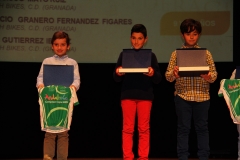 ALVARO VALDERRAMA CON MAILLOT DE CAMPEON ANDALUCIA BMX 7 Y 8 AÑOS (1)
