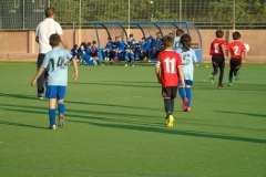 DSC04508